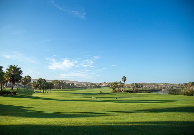 Scenic golf course with manicured fairways, palm trees, water hazard, and desert hills under clear blue sky