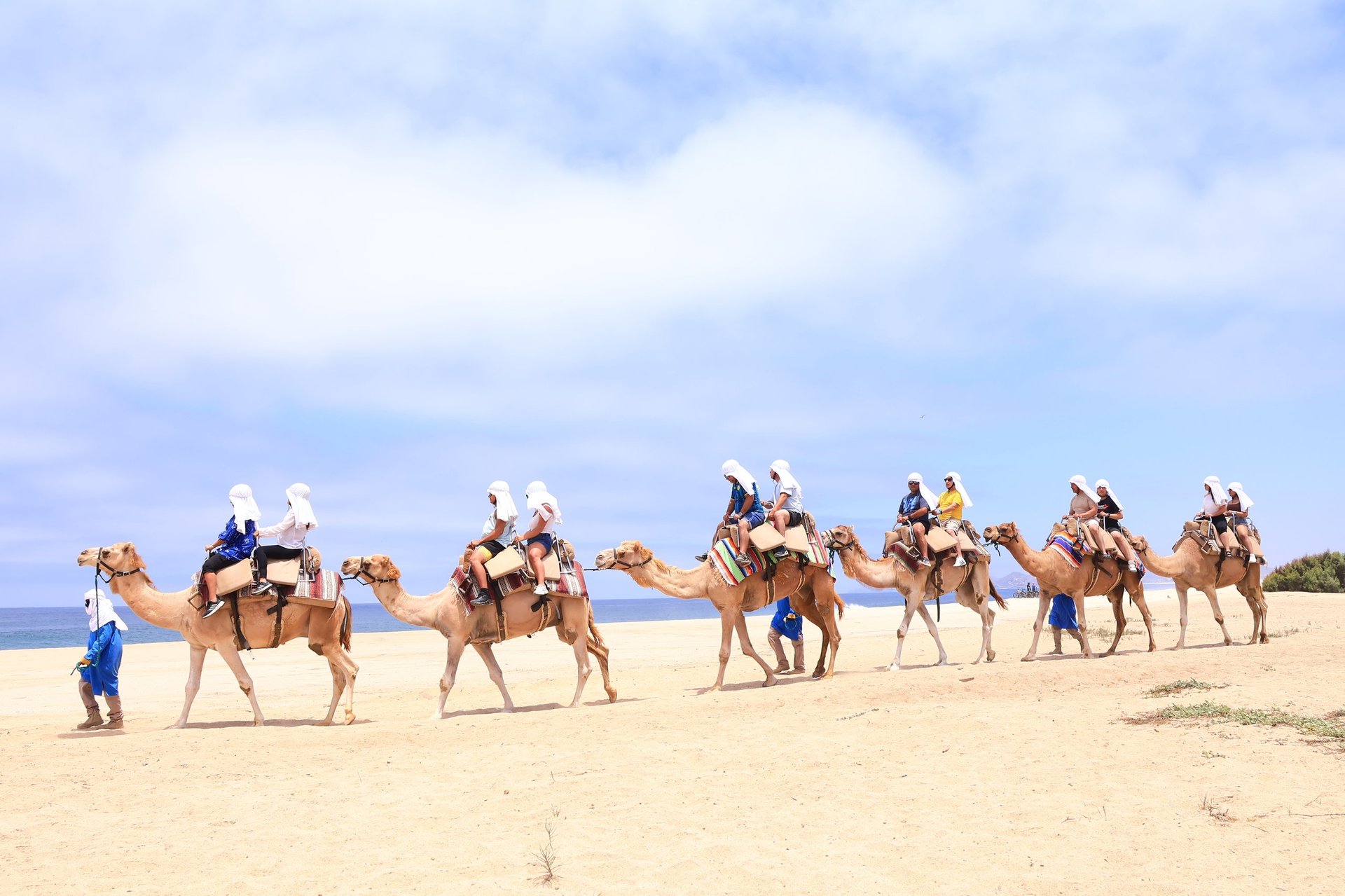 Tourists riding camels in a line across a sandy beach with ocean and sky in the background