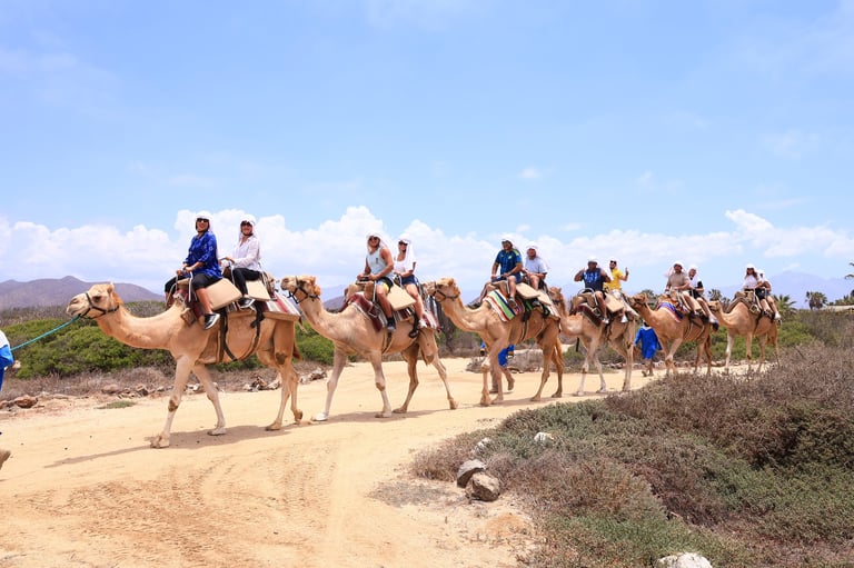 Group of tourists riding camels in single file along a sandy desert path with mountains in the background
